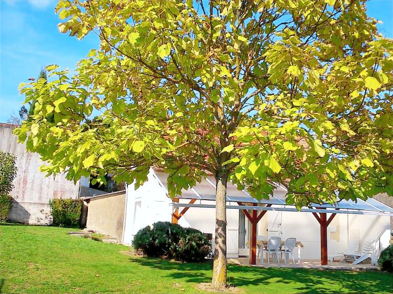 Charming Cottage 6km from La Roche-Posay - Terrace, Garden, Baby Equipment, Pet Friendly, Wifi — photo 3