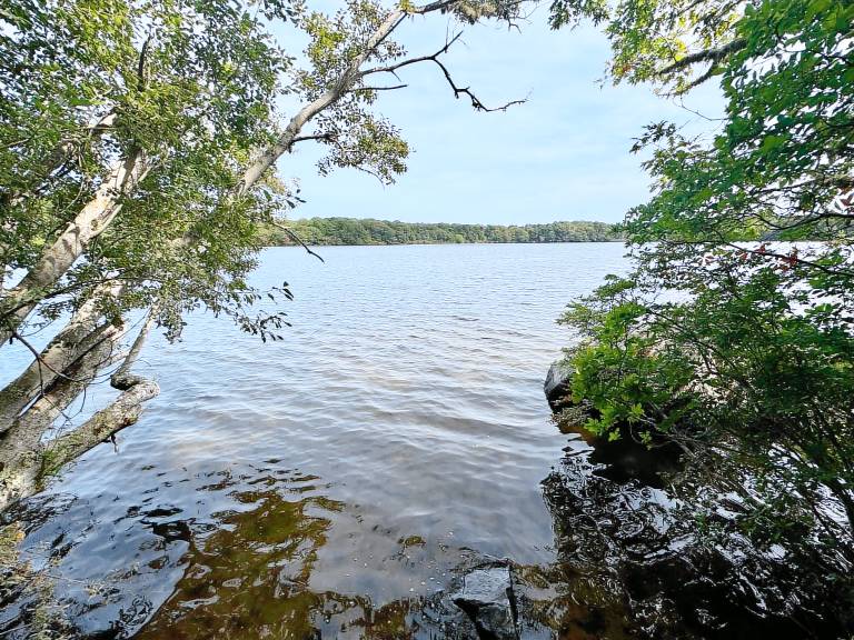 Wonderful Pond Front property deep in the heart of Brewster, private, spacious and unique! — photo 2