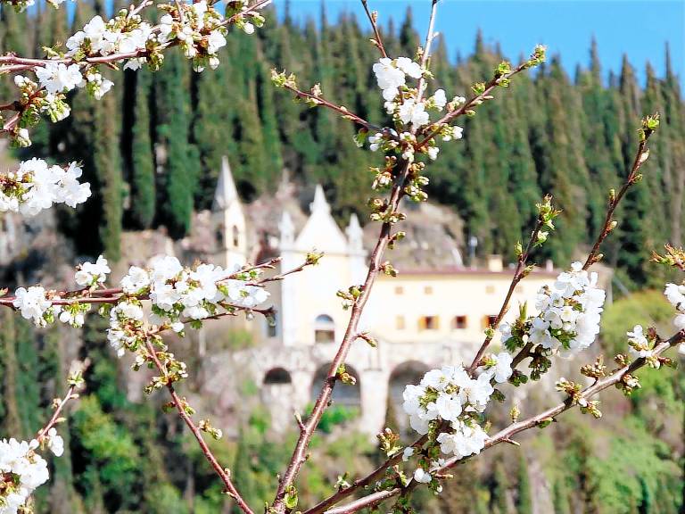 Anwesen mit Garten Grill und Terrasse