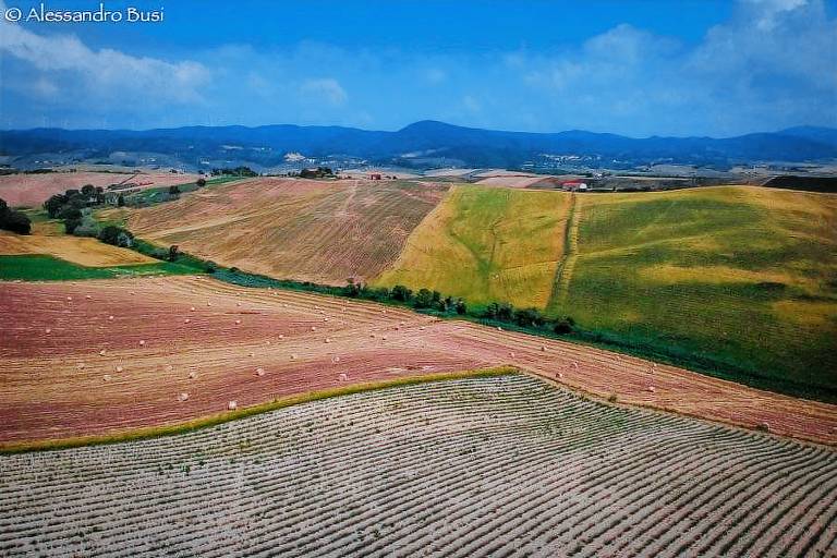 Podere Mandriato: Appartamento Matilde — photo 4