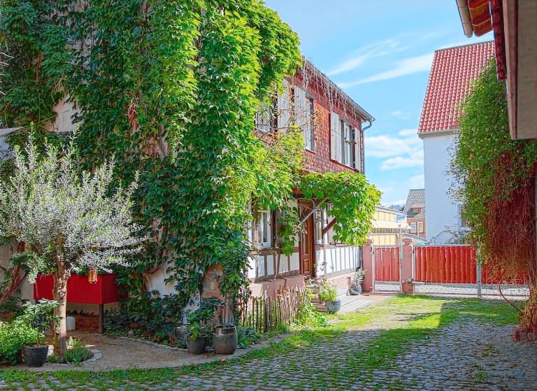House with yard & grill — photo 4