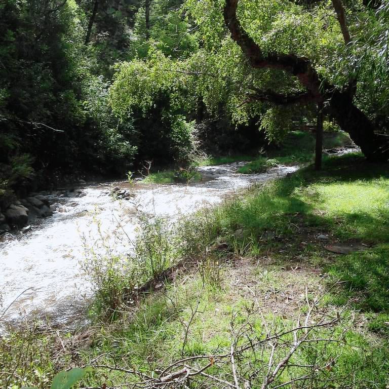 Cabin Ruidoso