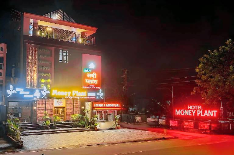 Hotel Money Plant