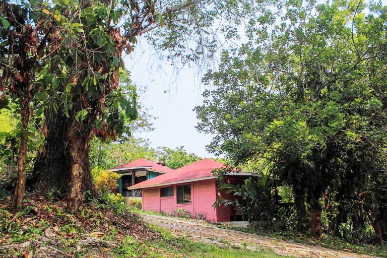Posada  Palenque