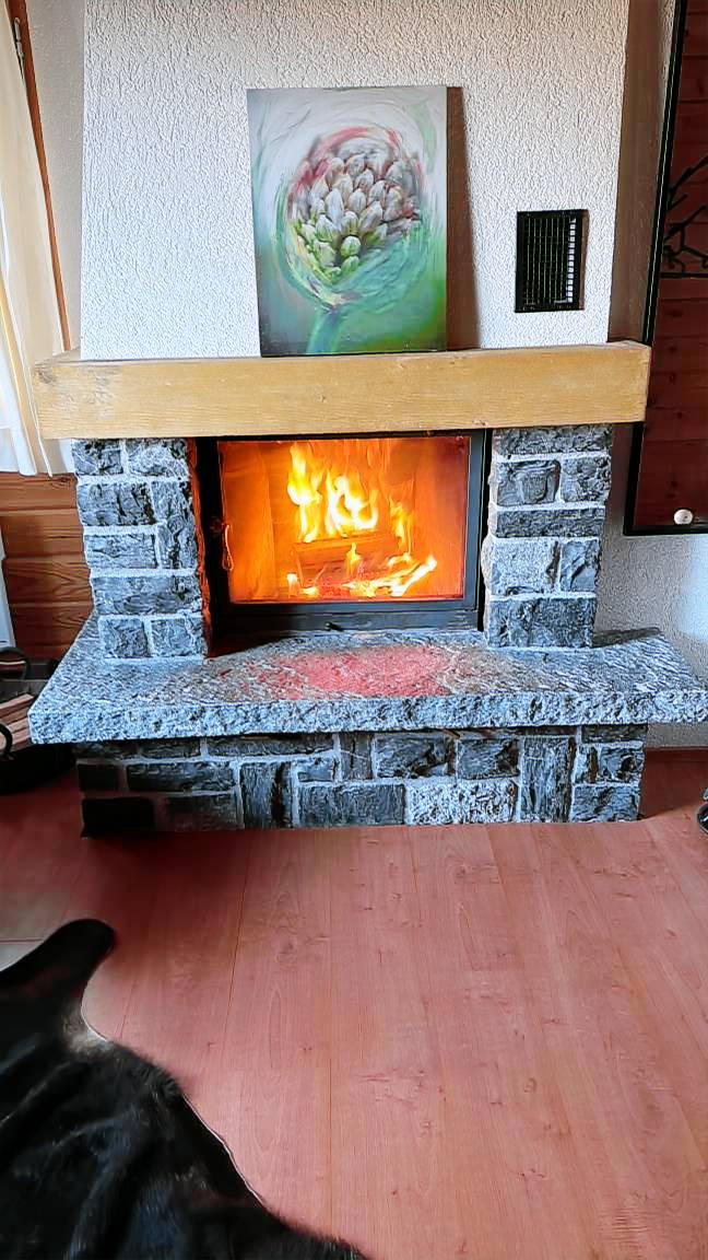 foto5