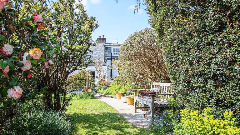 Cottage  Wadebridge