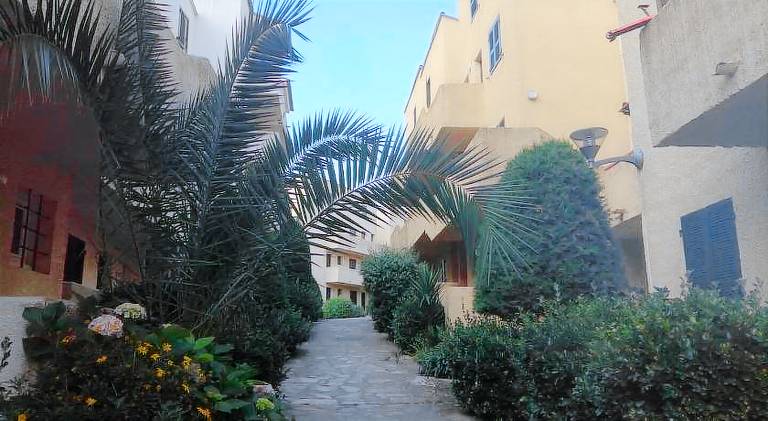 Wonderful rental apartment with pool | Pet-friendly — photo 5