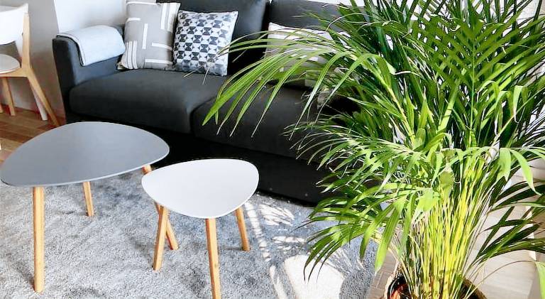 Wonderful apartment | Dogs allowed in Katowice