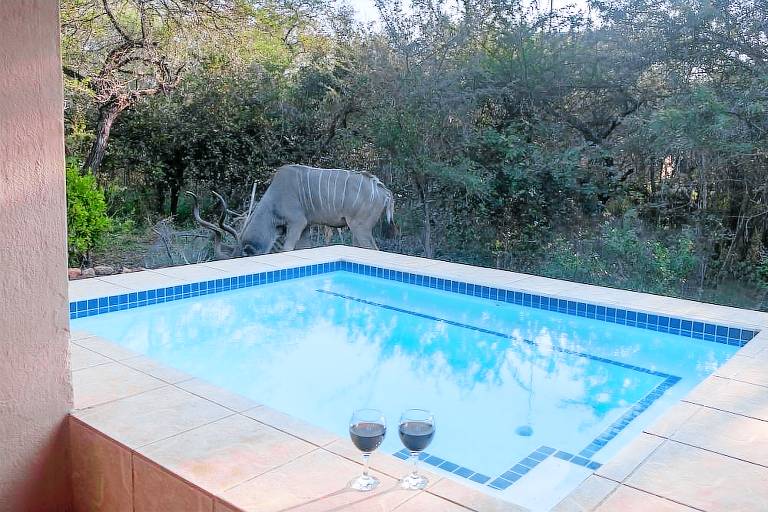 Cottage Marloth Park