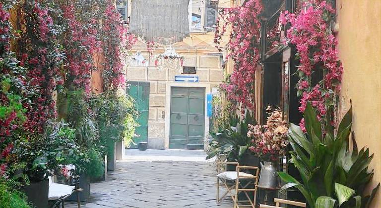 Beautiful rental apartment | Dogs allowed — photo 4