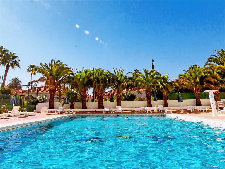 Seaview Friendly Holiday Home 9