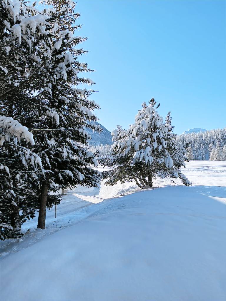 Ferienwohnung mit Hund inBever, Schweiz  f&uuml;r max. 2 Personen