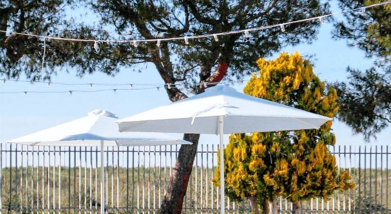 Otto Apulia House B&B — photo 5
