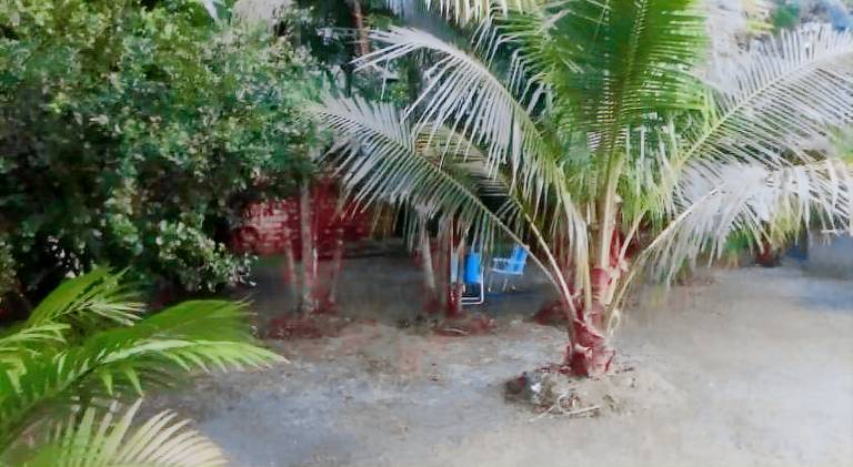 House | Pets are welcome in Belém