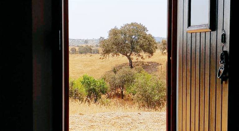 Monte da Clareira - Comporta Carvalhal Melides — photo 5