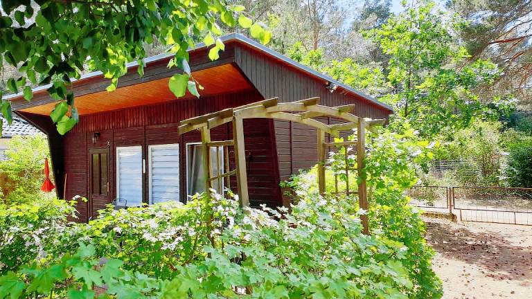 Holz Bungalow mit Terrasse