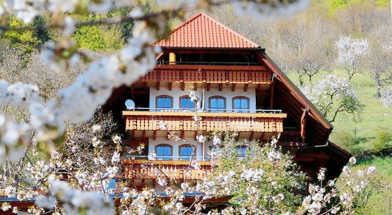 Serviced apartment with garden, BBQ & patio in Bad Peterstal-Griesbach