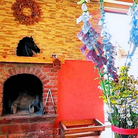 Lodge San Miguel Ajusco