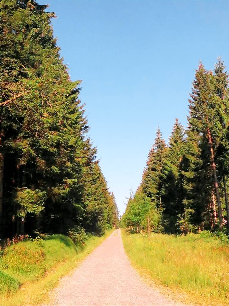 Talblick - Pension & FeWo s — photo 4