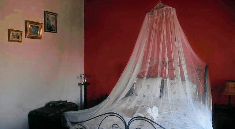 Ferme Walila — photo 2