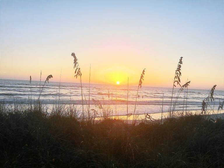 Condo Siesta Key