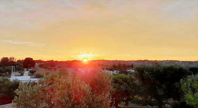 Pleasant apartment with yard | Pet-friendly in Locorotondo