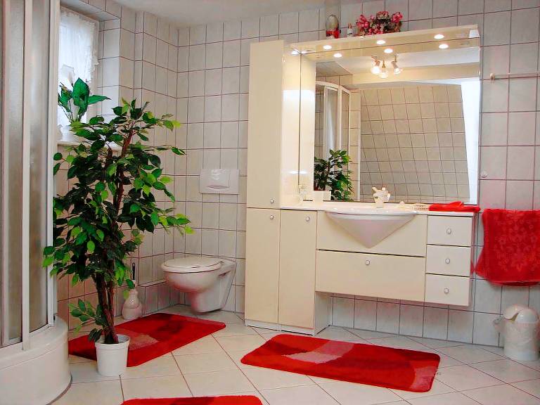 Ferienwohnung Harz Sonne