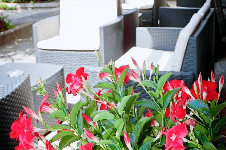 Hotel New Genziana