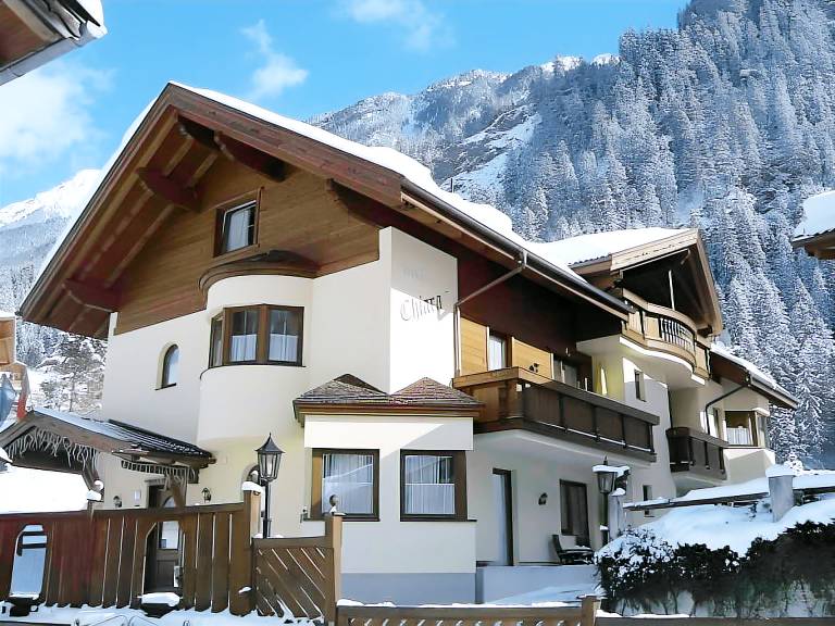 Rental apartment with garden, sauna & terrace | Pets allowed in Neustift Im Stubaital