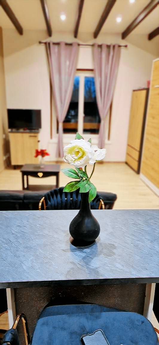 Appartement Thonon-les-Bains