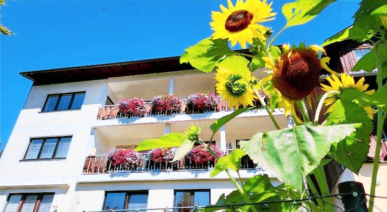 Holiday apartment with terrace in Ramsau am Dachstein