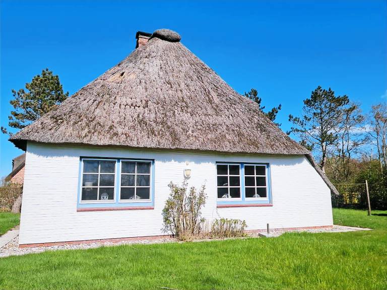 Family-oriented lovely house with garden & terrace | Pets are welcome — photo 4