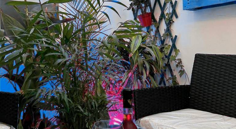 House with 2 rooms for 6 persons — photo 4