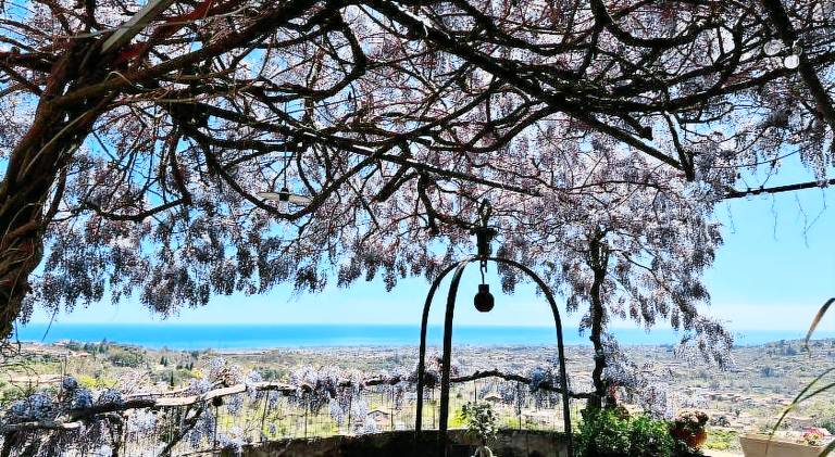 Il noceto dell'Etna in Giarre