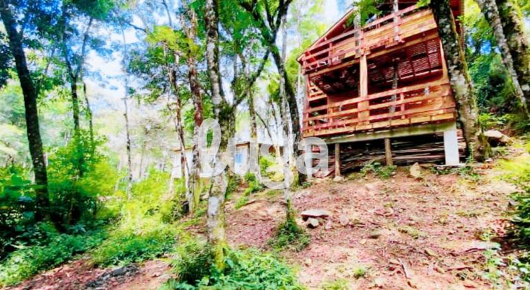 Suite Low – Paraiso dos Ciclistas — photo 4
