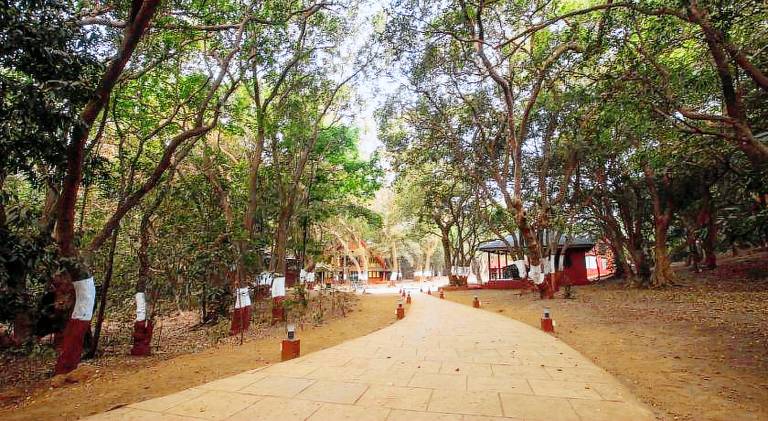 Matheran Green field Resorts — photo 5