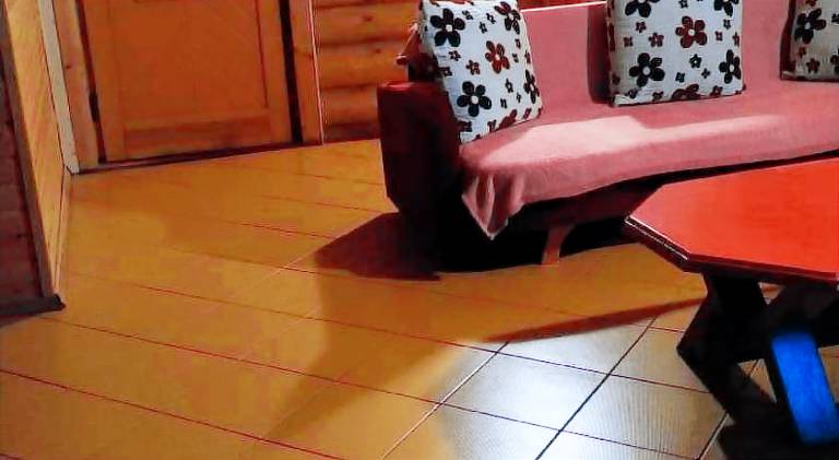 Beautiful house | Beach nearby | Pets allowed — photo 4