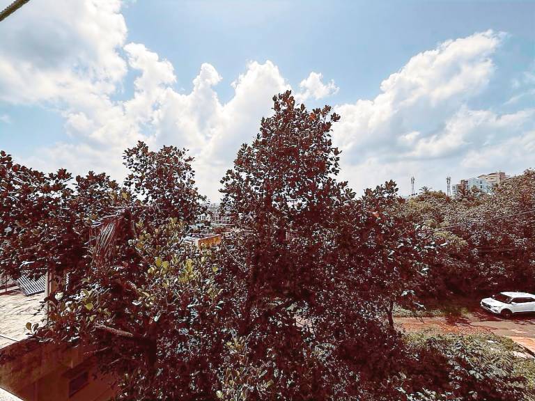 foto6