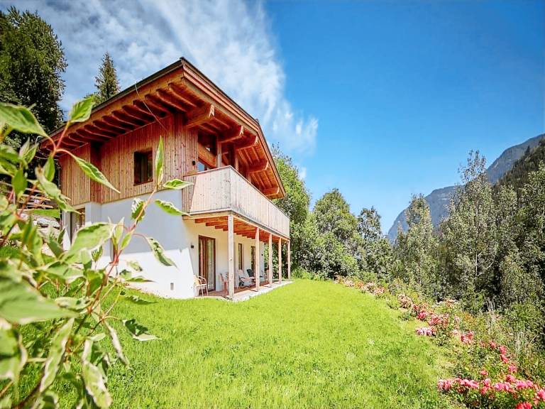 Chalet Viehhofen