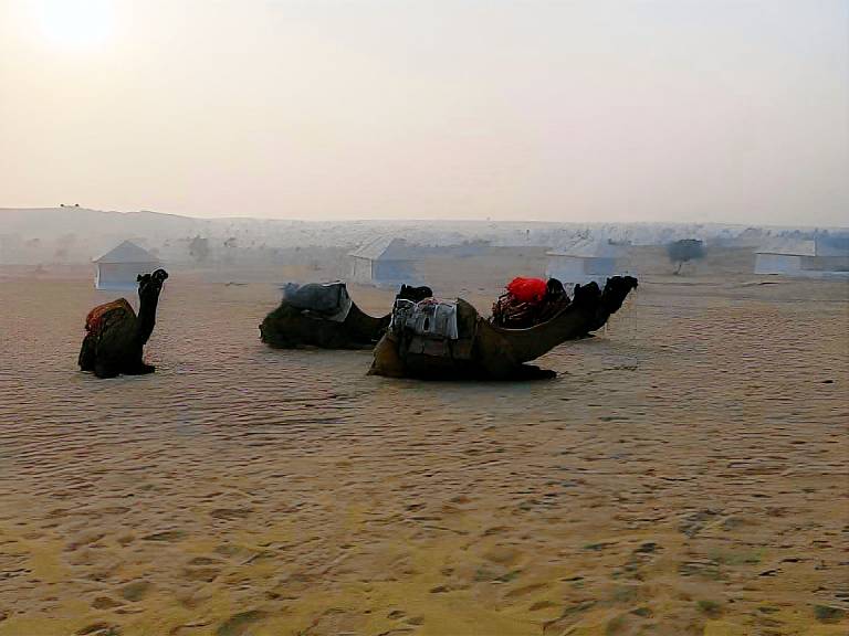 Golden sands desert camp, raisar, bikaner — photo 5