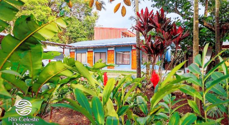 Rio Celeste Dreams in Alajuela