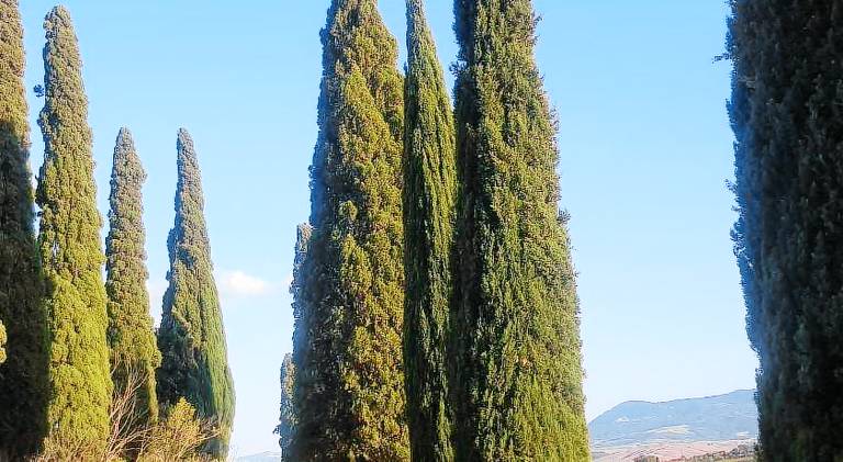 Appartamento San Quirico d'Orcia