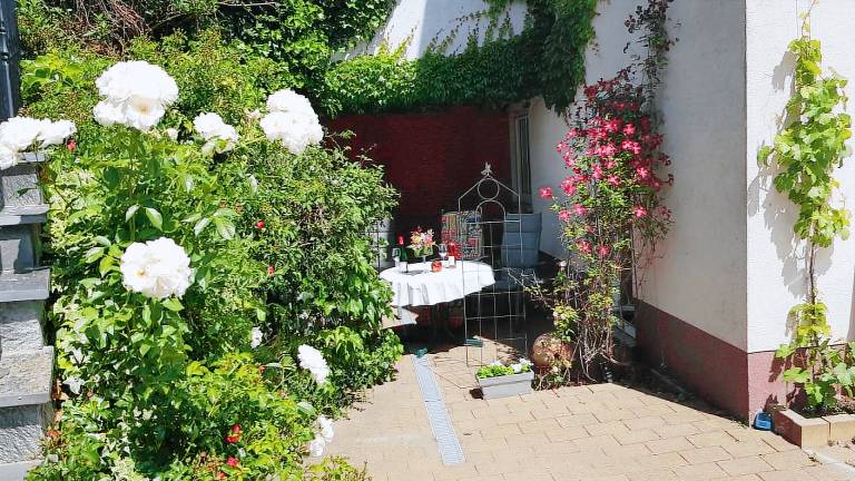 Ferienwohnung Bernkastel-Kues