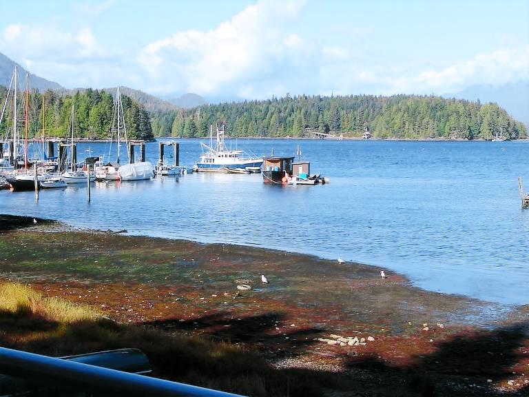 House Tofino