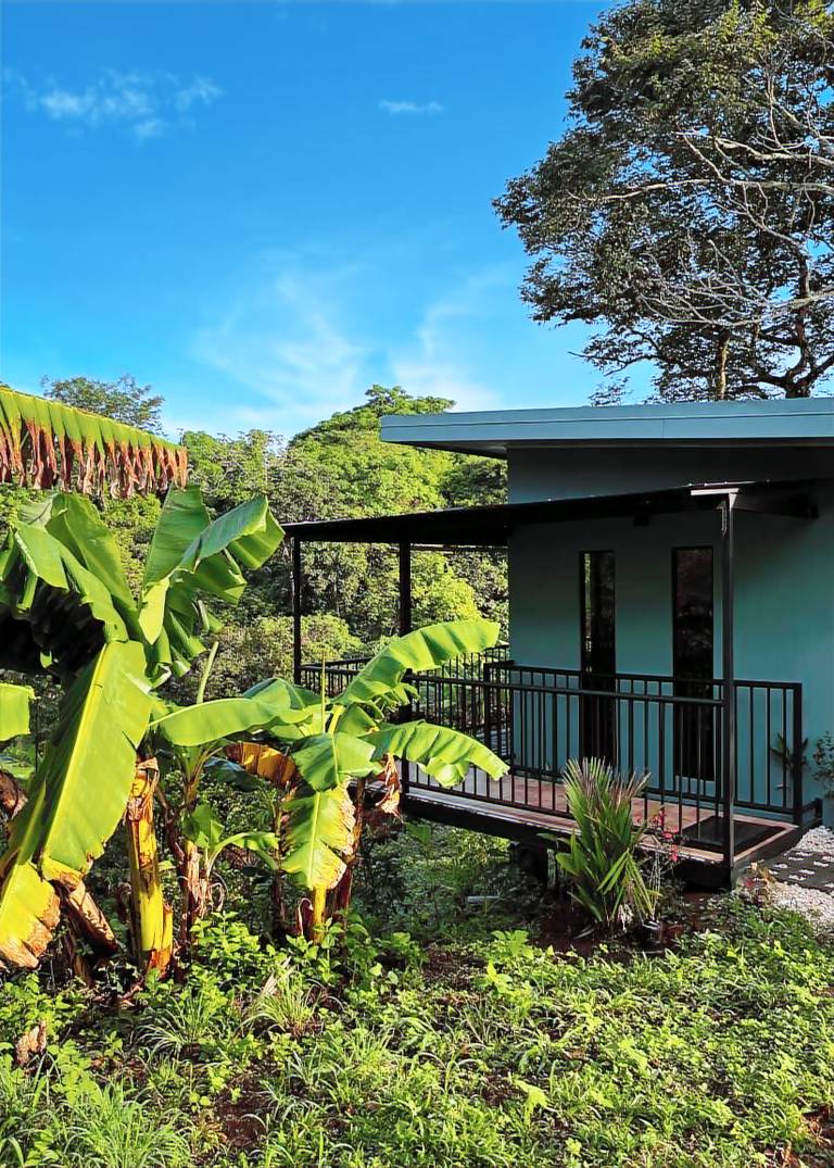 House  Barrio Jesús