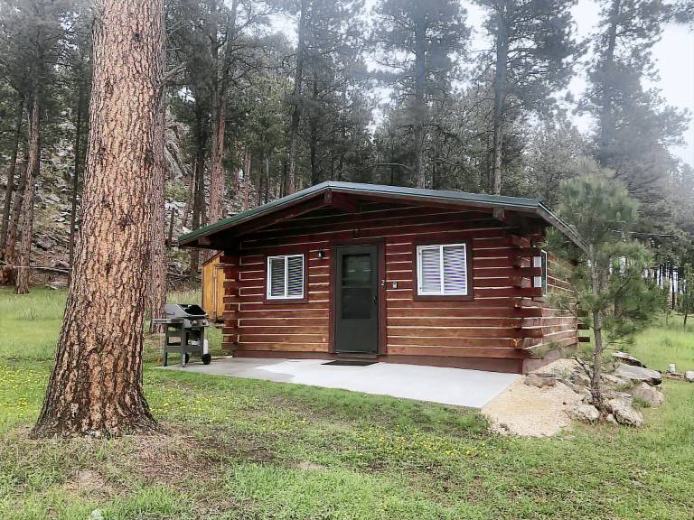 Cabin Custer