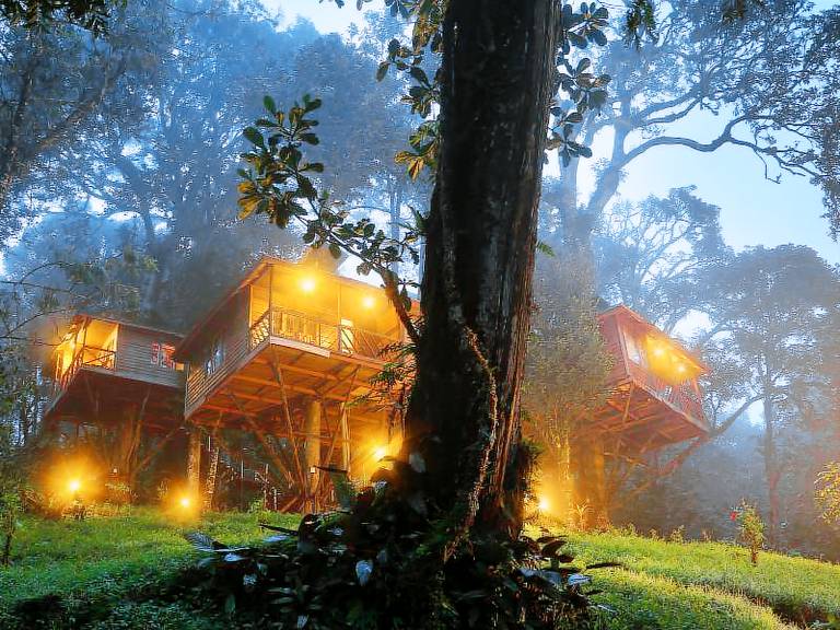 Resort  Munnar