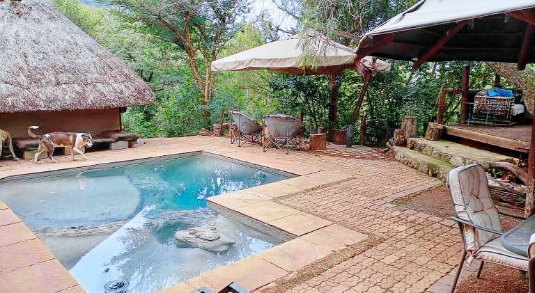 Lovely tent with garden, patio & pool | Perfect for remote work | Pets are welcome — photo 3