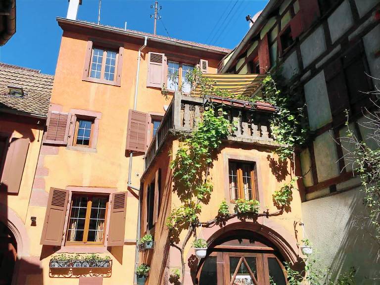 foto1