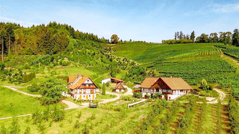 Ferienwohnung Oberkirch